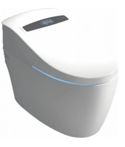 toilettes monobloc japonaises